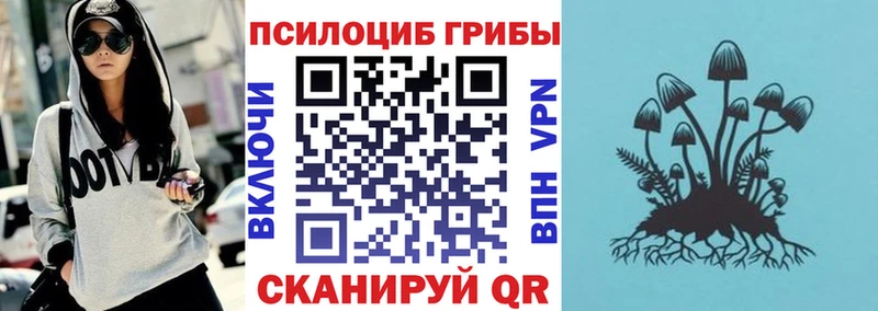 Псилоцибиновые грибы мухоморы Каменка